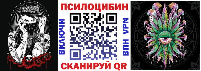 Псилоцибиновые грибы GOLDEN TEACHER  Купить закладки  Тосно 
